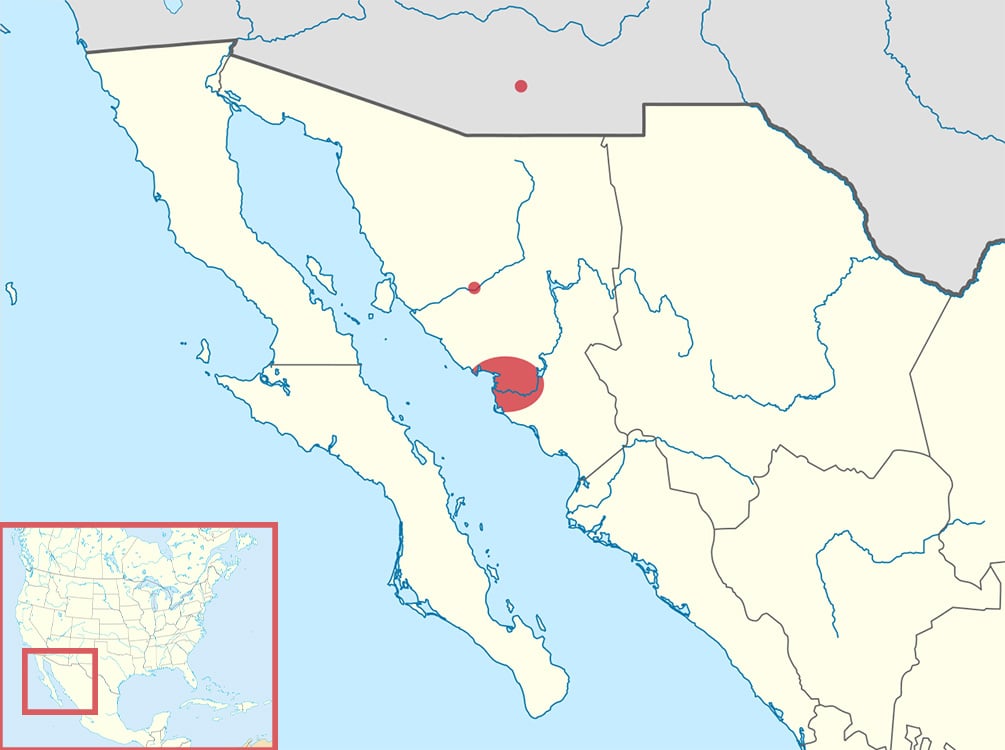 map of yaqui pueblos. map.